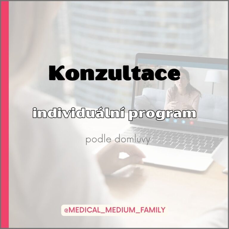 Konzultace