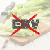 EBV